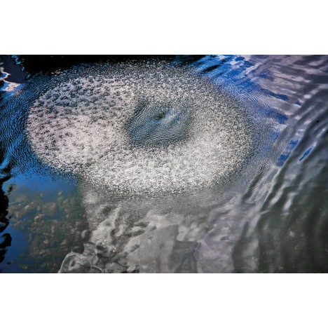 Aerācijas difuzors AquaOxy Ring D 60 cm