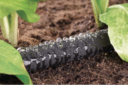 Kādu piliencauruli  jeb kapilārus izvēlēties?