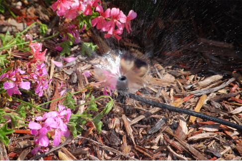 Ūdens trūkums pavasarī