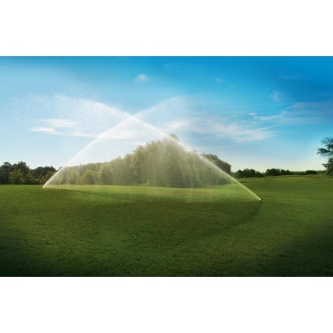 HUNTER I-25-04-SSB | 10cm | 1"