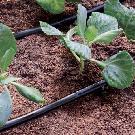 Pilienšļūtene 4l/h 33cm ⌀16mm PN4