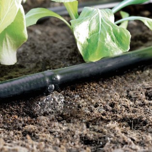 Pilienšļūtene 2l/h 33cm ⌀16mm PN4 | 50m