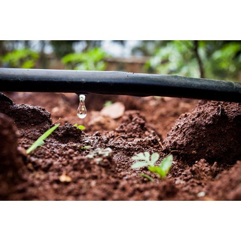 Pilienšļūtene 4l/h 33cm ⌀16mm PN4