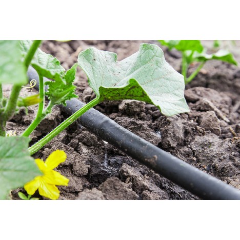 Pilienšļūtene 4l/h 33cm ⌀16mm PN4