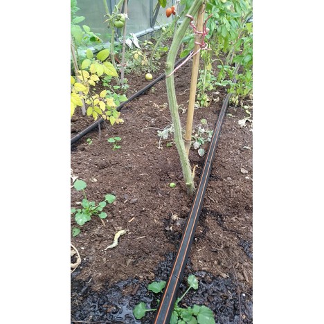 Pilienlaistīšanas lenta 200m