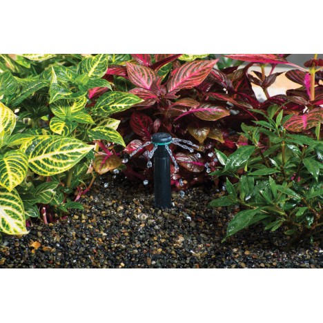 Sprausla Bubbler, Hunter