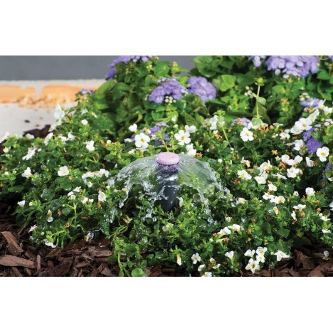 Sprausla Bubbler, Hunter