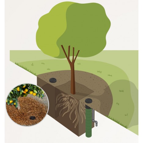 Laistītājs sakņu sistēmai RZWS