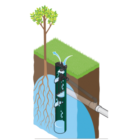 Laistītājs sakņu sistēmai RZWS