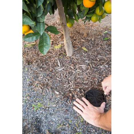 Laistītājs sakņu sistēmai RZWS